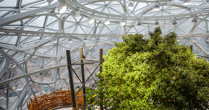 Amazon sphere Seattle hq feature