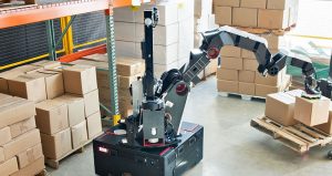 Boston Dynamics stretch feature