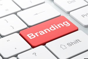 Branding, ecommerce branding, ecommerce, Patagonia, brand audit